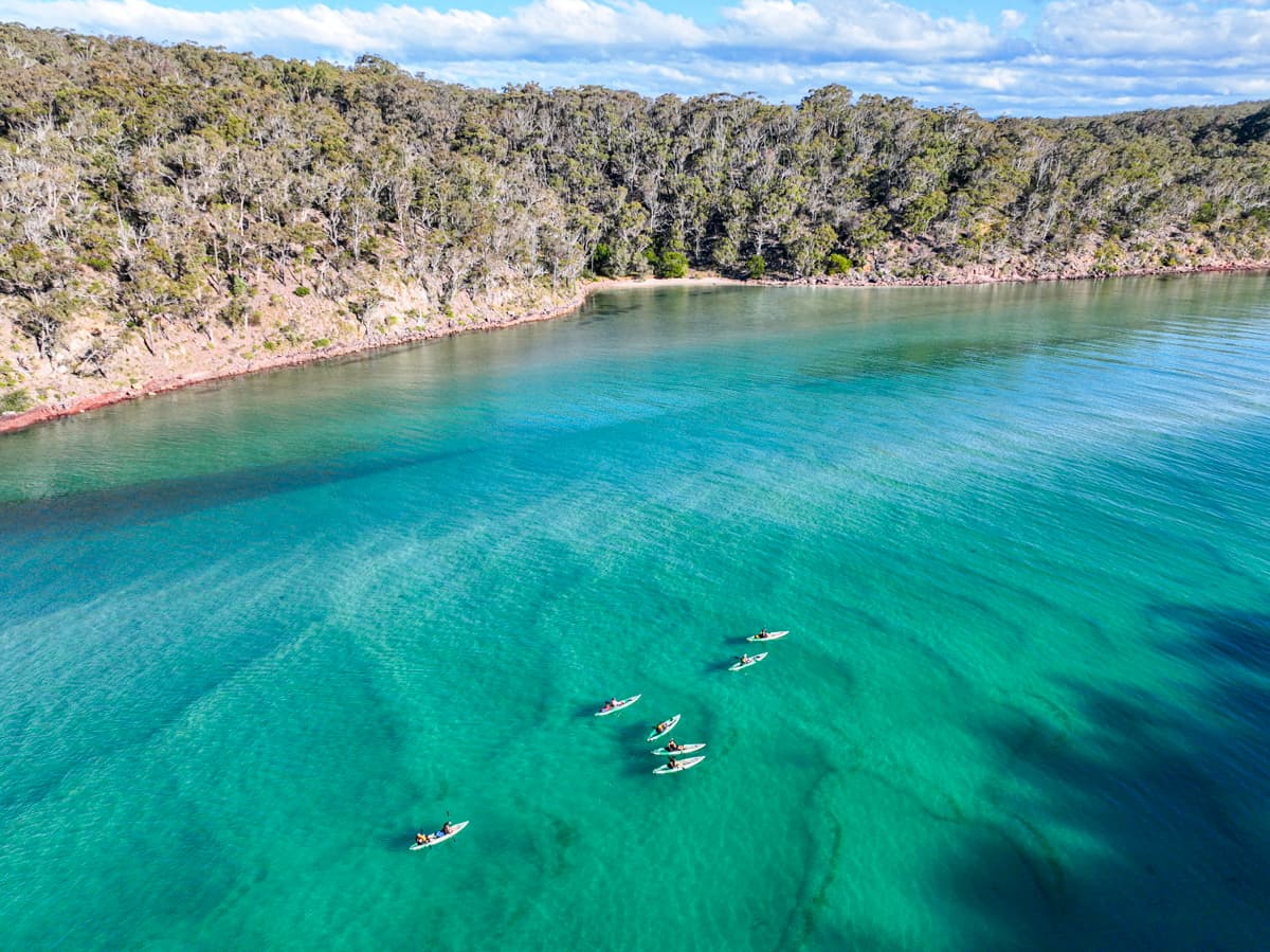 Pambula River Kayak Tour